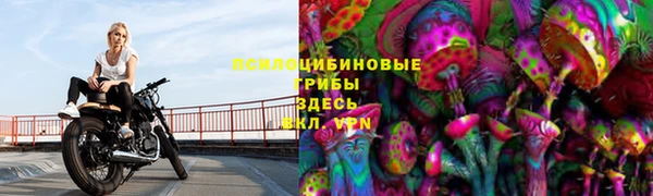 ALPHA-PVP Гусиноозёрск